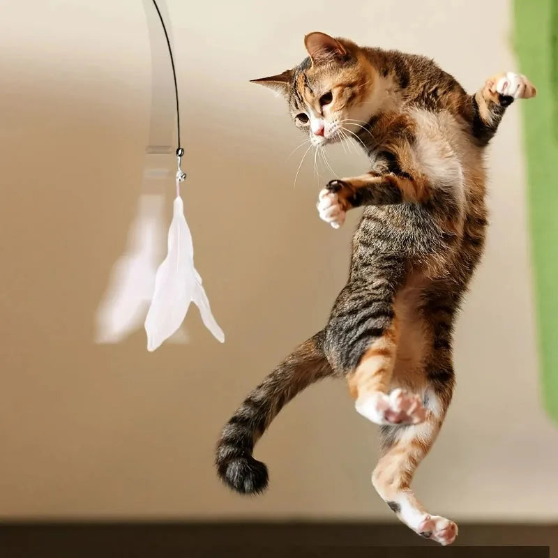 Cat Teaser Wand Toy with Suction Cup and Bell