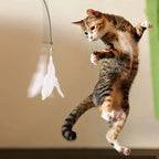Cat Teaser Wand Toy with Suction Cup and Bell