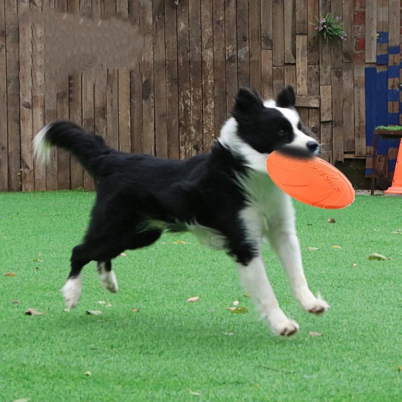Silicone Dog Flying Disc Chew Toy