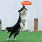 Silicone Dog Flying Disc Chew Toy