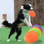 Silicone Dog Flying Disc Chew Toy