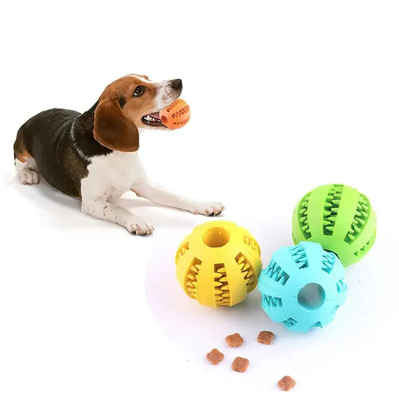 Dog Treat Ball Chew Toy Bite Resistant